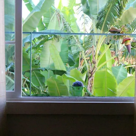 Fx Pena Фуншал