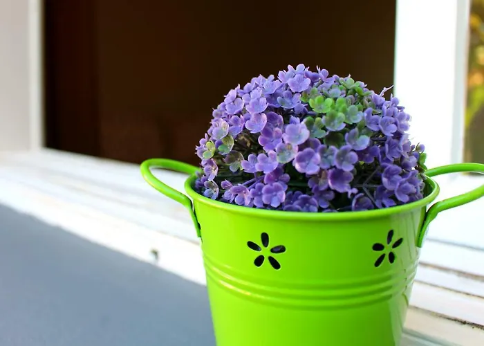 Fx Pena ホステル *